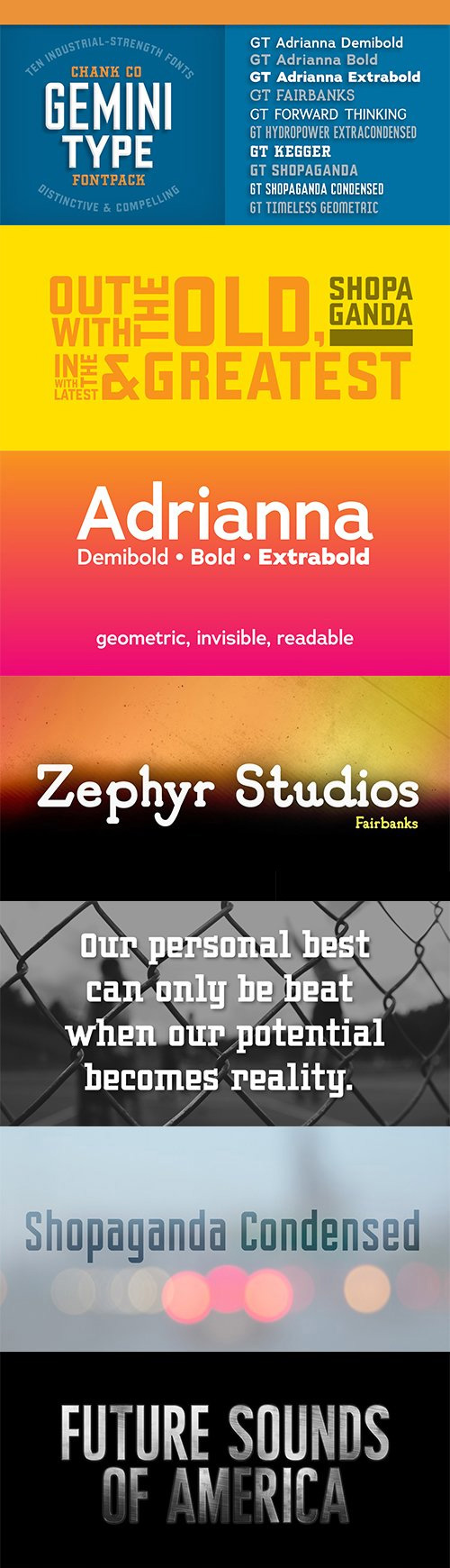 Gemini Type Fontpack 10xOTF