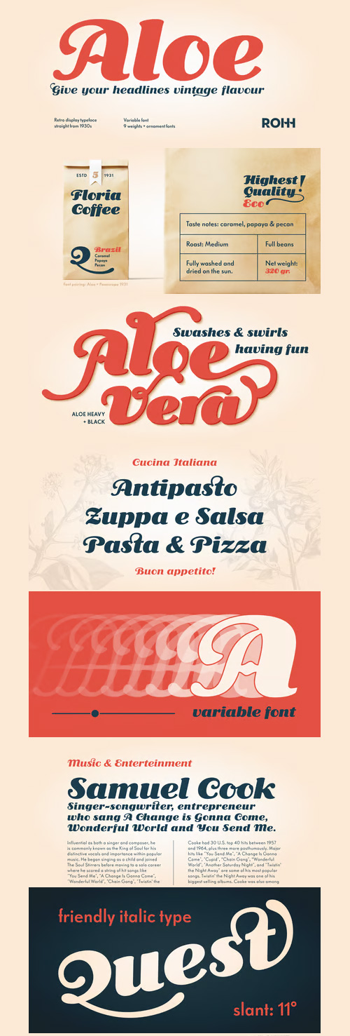 Aloe - 1930's Display Font Family 18xOTF