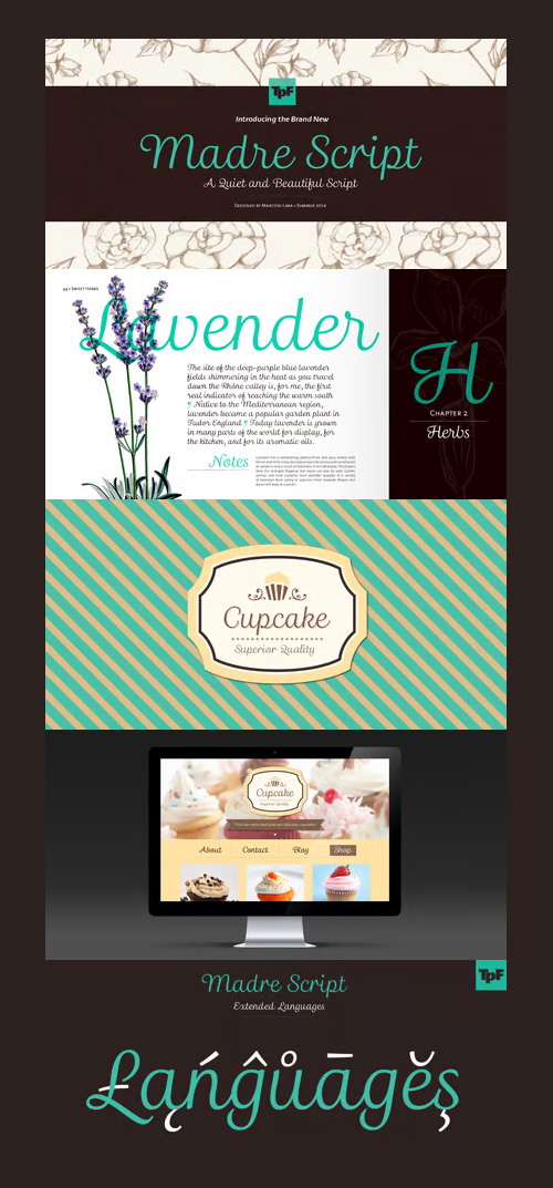 Madre Script Font OTF Madre Script Font OTF