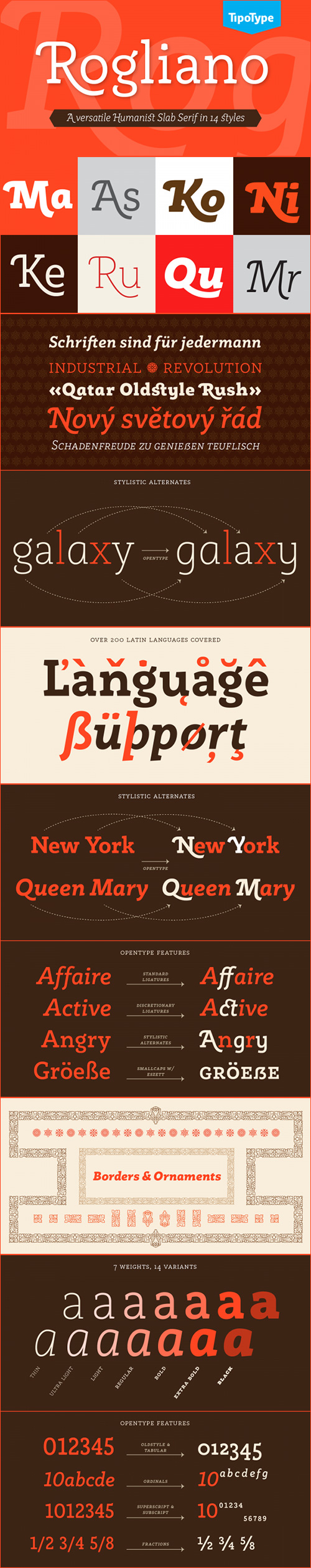 Rogliano Font Family 14xOTF $189