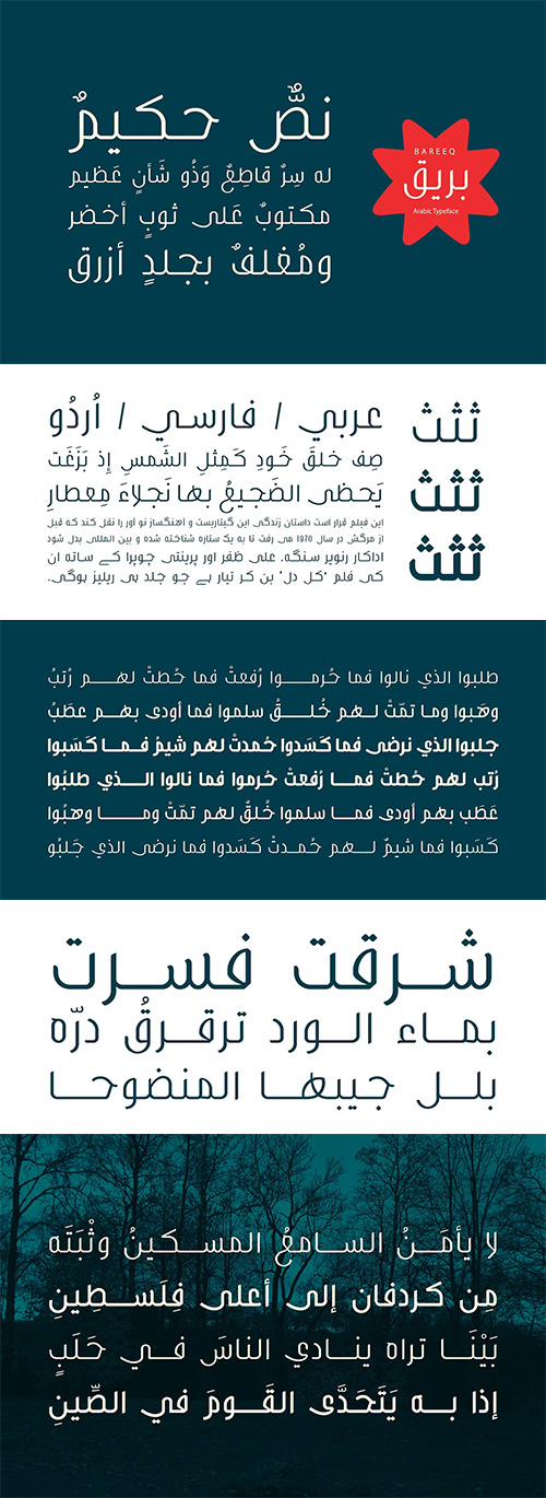 Bareeq - Arabic Typeface 3xOTF 100582