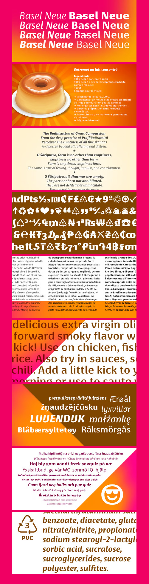 Basel Neue Font Family 8xOTF