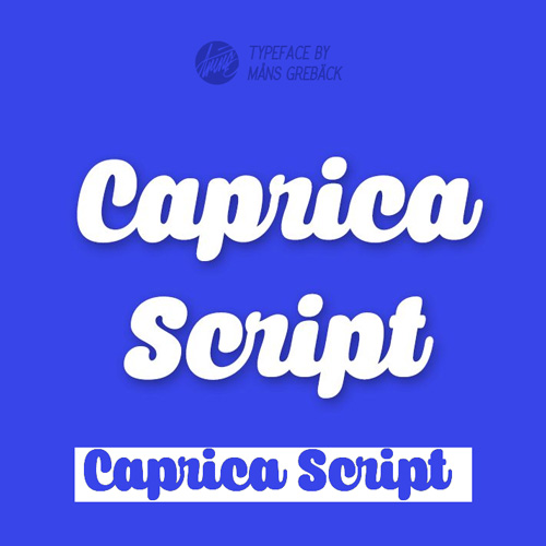 Caprica Script Font Family 2xOTF