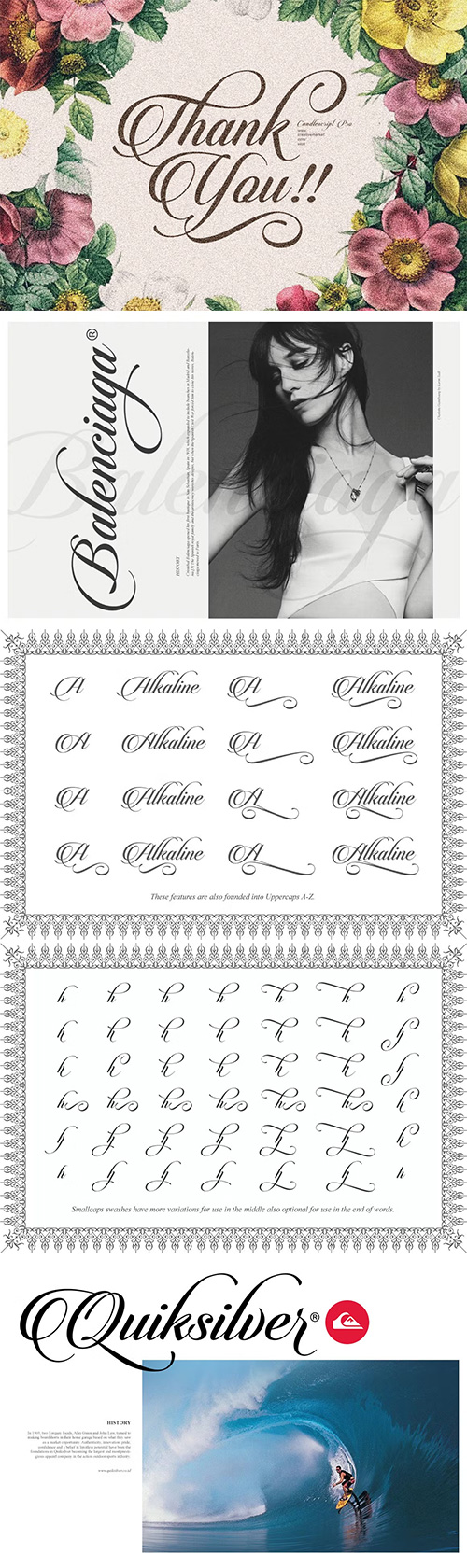 Candlescript Pro Font + Parts 113676