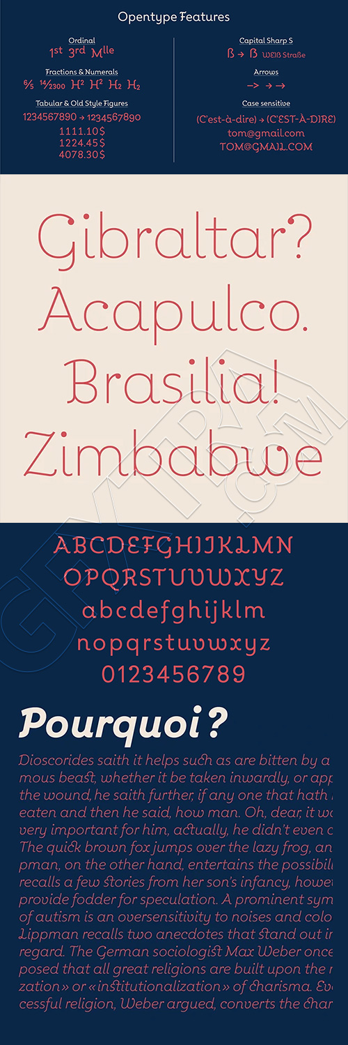 Kleide Font Family 12xOTF