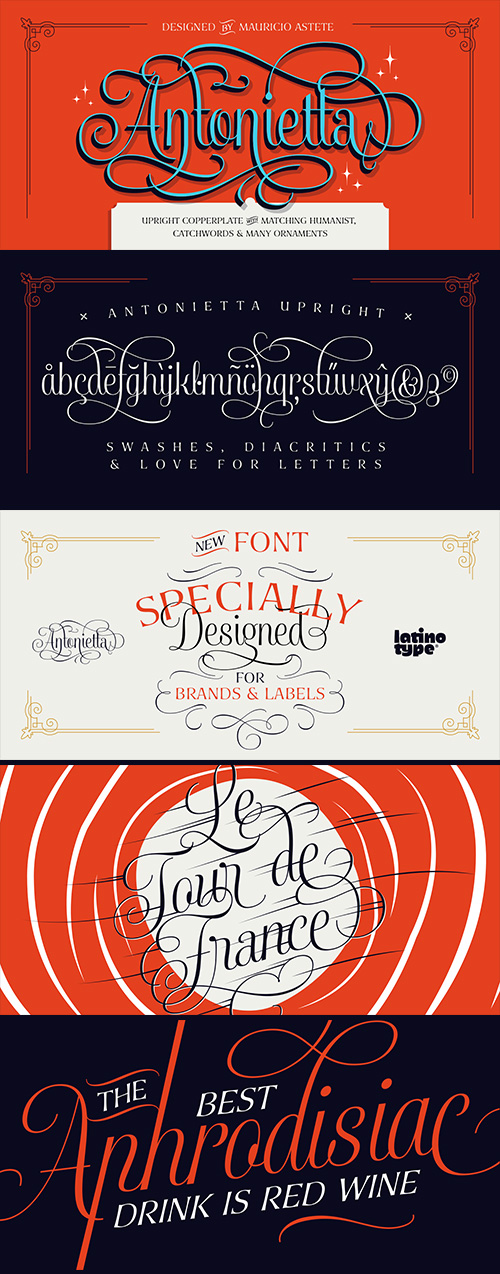 Antonietta Font Family 7xOTF