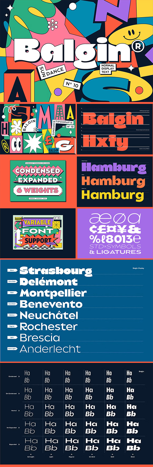 Balgin Font Family 51xTTF 4765738