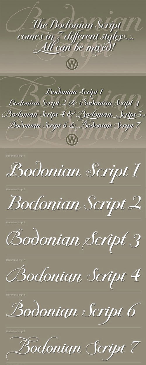 Bodonian Script - Fancy 7 Script Fonts Bodonian Script - Fancy 7 Script Fonts