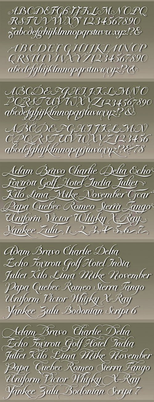 Bodonian Script - Fancy 7 Script Fonts