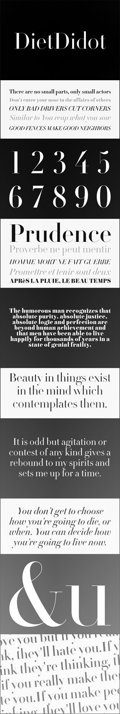 DietDidot Font Family 9xOTF $270 DietDidot Font Family 9xOTF $270