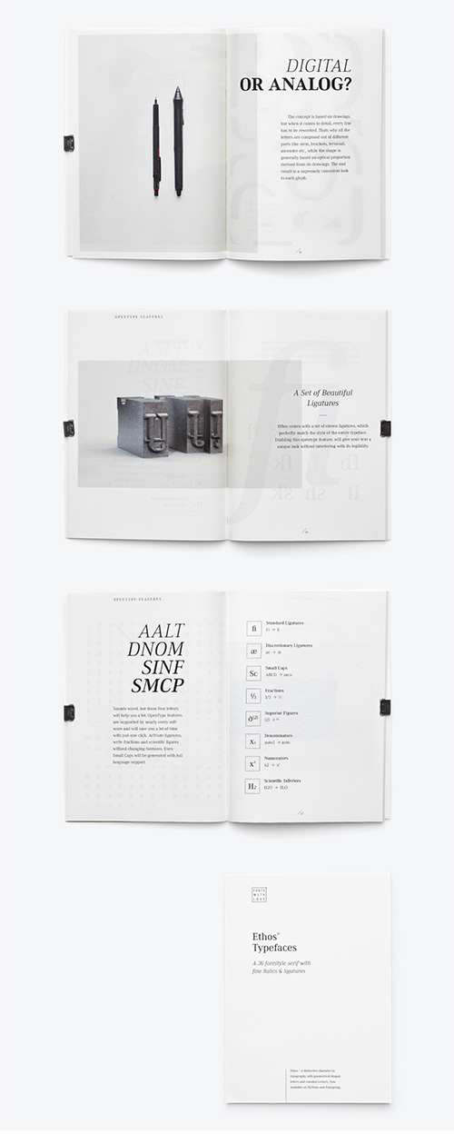 Ethos Font Family 36 Fonts $250