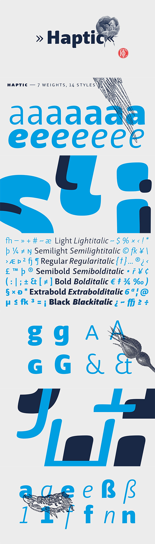 Haptic - Award Wining Sans Serif Typeface 14xOTF