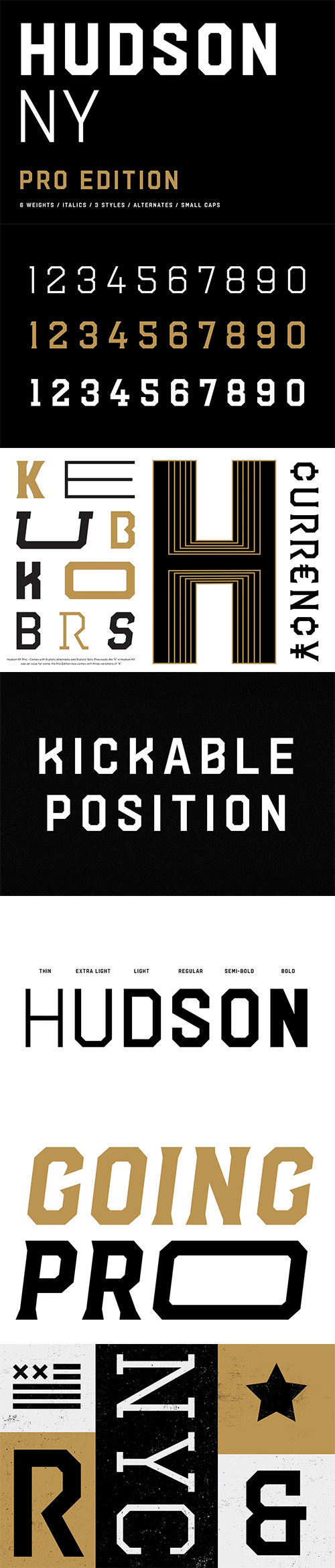 Hudson NY - Pro Edition 39xOTF 4706008