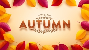 Autumn Sales Vector Collection 50xEPS