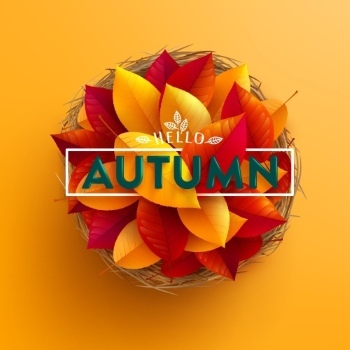 Autumn Sales Vector Collection 50xEPS