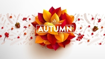 Autumn Sales Vector Collection 50xEPS