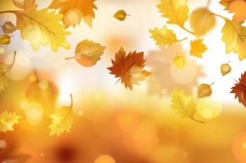 Thanksgiving Backgrounds & Banners 23xEPS