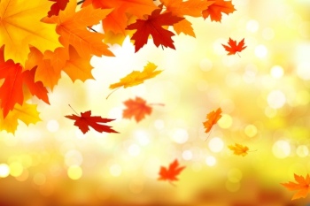 Thanksgiving Backgrounds & Banners 23xEPS