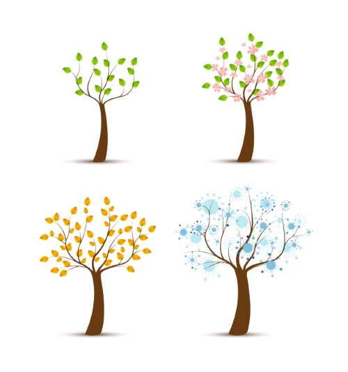 Trees in Four Seasons - Spring, Summer, Autumn & Winter 25xEPS