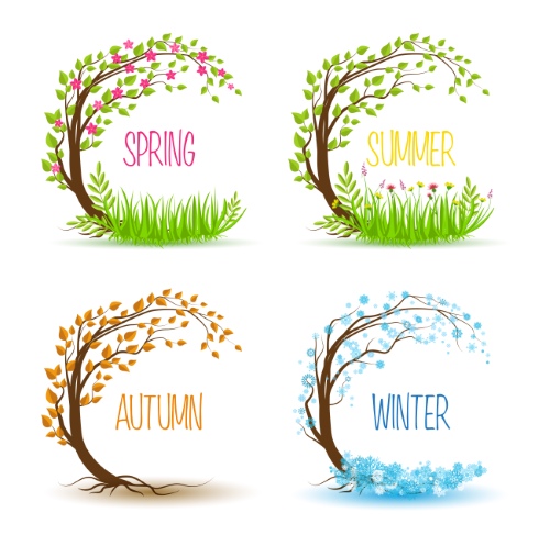 Trees in Four Seasons - Spring, Summer, Autumn & Winter 25xEPS