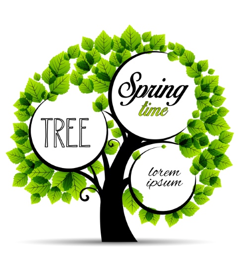 Trees in Four Seasons - Spring, Summer, Autumn & Winter 25xEPS