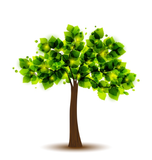 Trees in Four Seasons - Spring, Summer, Autumn & Winter 25xEPS