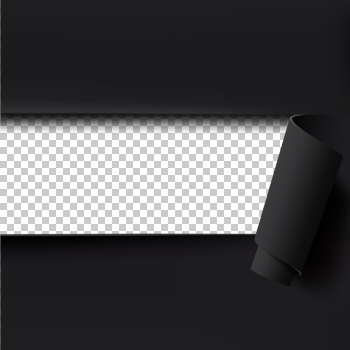 Black Friday Sale Backgrounds, Banners, Labels Collection 61xEPS