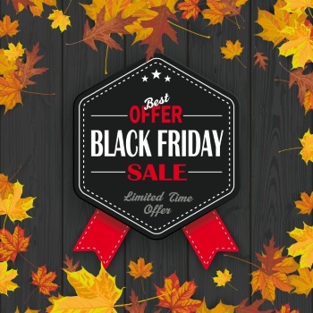 Black Friday Autumn Concept Labels & Sale Templates 42xEPS