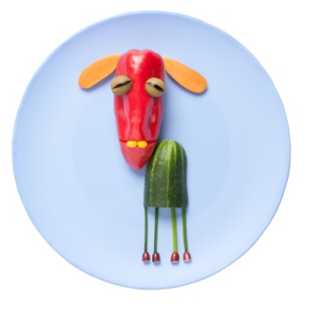 Creative Vegetables Animals on White Background 40xJPG