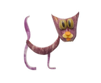 Creative Vegetables Animals on White Background 40xJPG