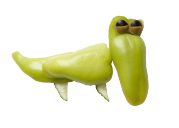 Creative Vegetables Animals on White Background 40xJPG