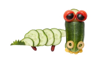 Creative Vegetables Animals on White Background 40xJPG
