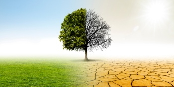 Green World & Environmental Disasters #2, 25xJPEG