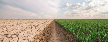 Green World & Environmental Disasters #2, 25xJPEG