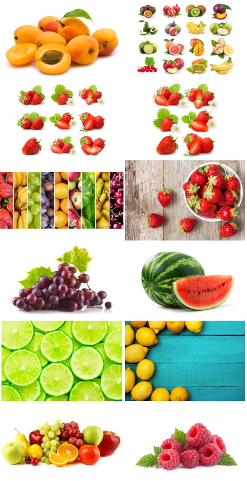 Fruits & Berries Collection 76xJPG