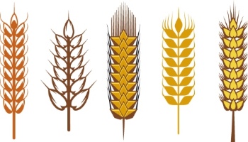 Design Elements 48xEPS