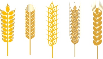 Design Elements 48xEPS