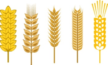 Design Elements 48xEPS