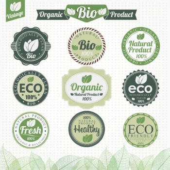 Food Design Elements 25xEPS