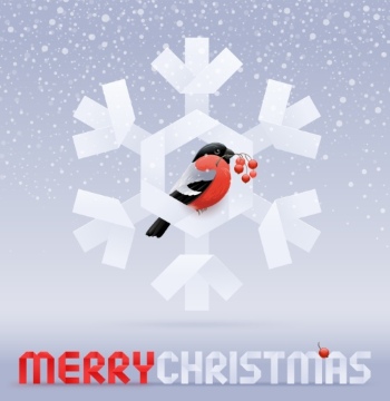 Christmas New Year Templates & Design Elements #4, 50xEPS