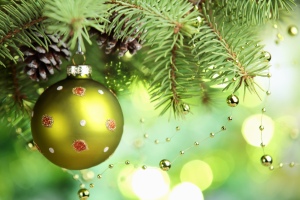 New Year Christmas Ornaments & Backgrounds 60xJPG