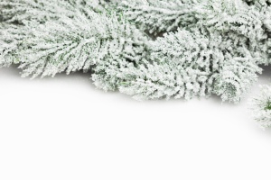 New Year Christmas Ornaments & Backgrounds 60xJPG