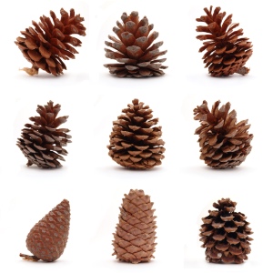 New Year Christmas People & Gifts 60xJPG New Year Christmas People & Gifts 60xJPG