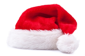 Animals with Santa Hat 28xJPG