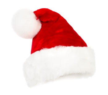 Animals with Santa Hat 28xJPG