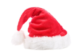 Animals with Santa Hat 28xJPG