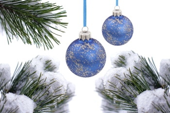 Christmas Ornamental Elements on White Backgrounds 72xJPG