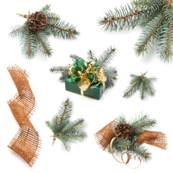 Christmas Ornamental Elements on White Backgrounds 72xJPG