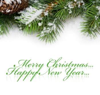 Christmas Ornamental Elements on White Backgrounds 72xJPG