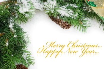 Christmas Ornamental Elements on White Backgrounds 72xJPG